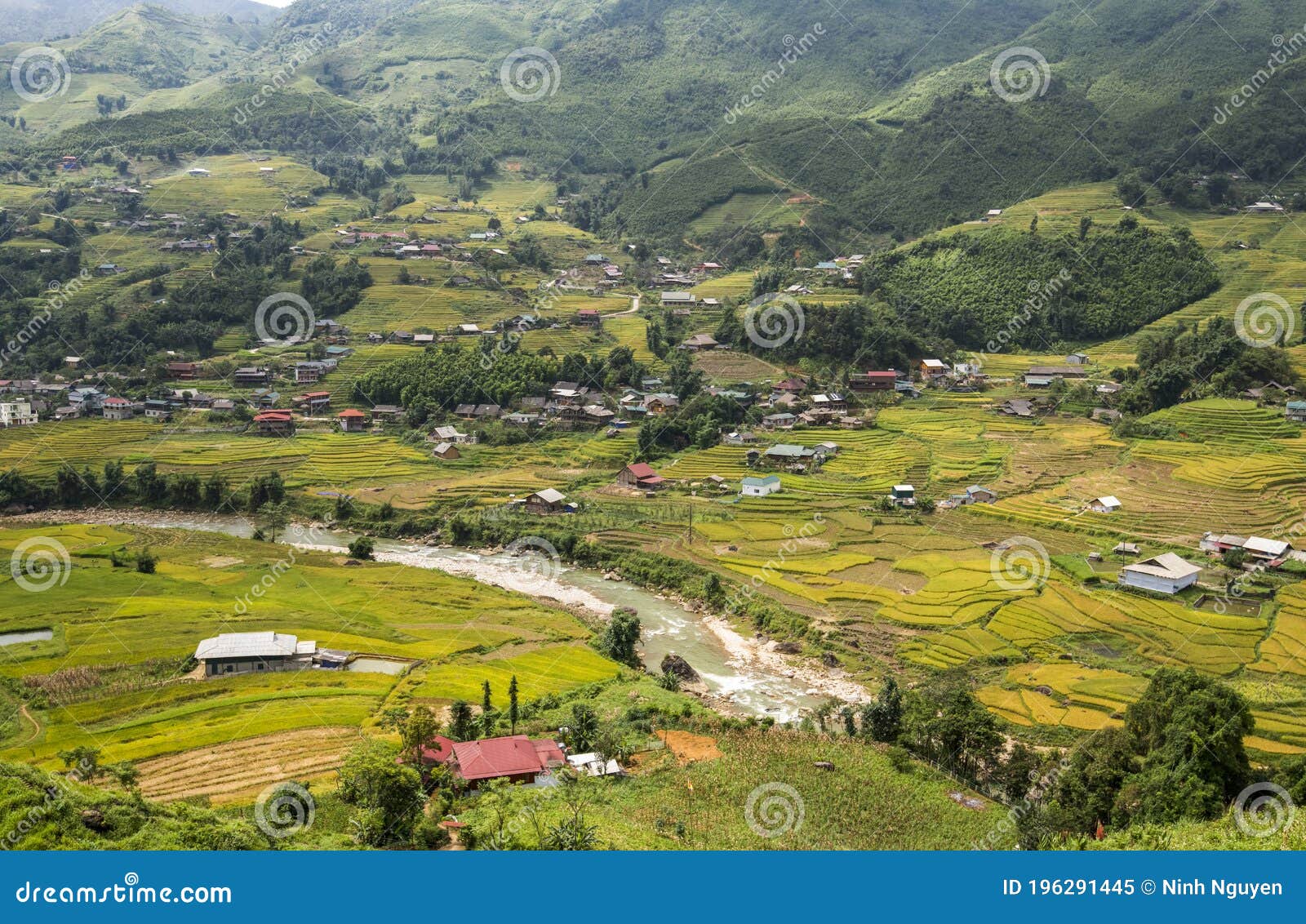terraced rice fields and landscapes in sapa of vietnam